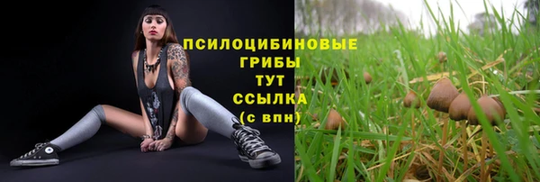 a pvp Алзамай